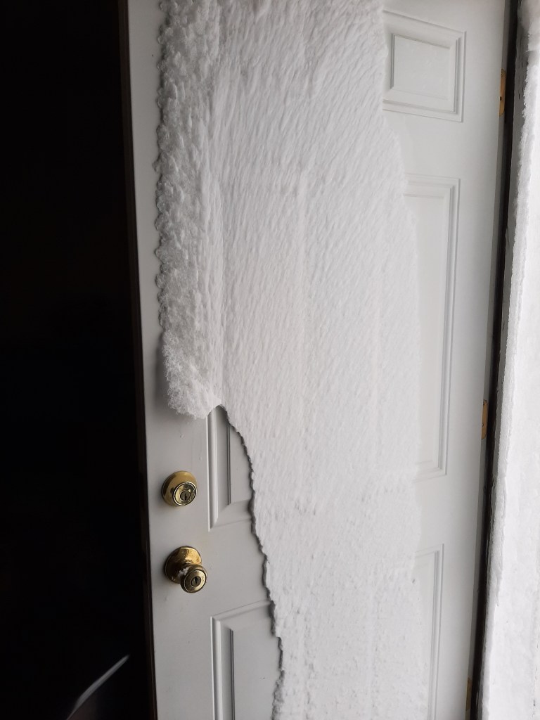The ice that clung to our back door.  